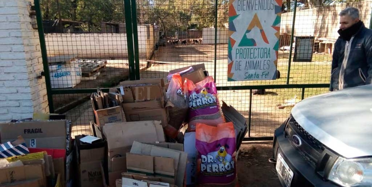 El municipio quiere ceder los terrenos donde funciona el refugio para perros 