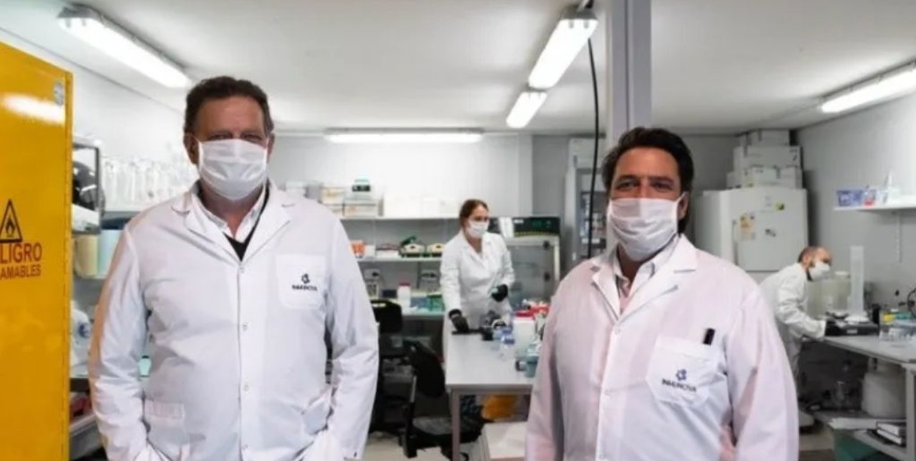 Suero Equino para frenar el Covid: cuál es su efectividad y para qué sirve