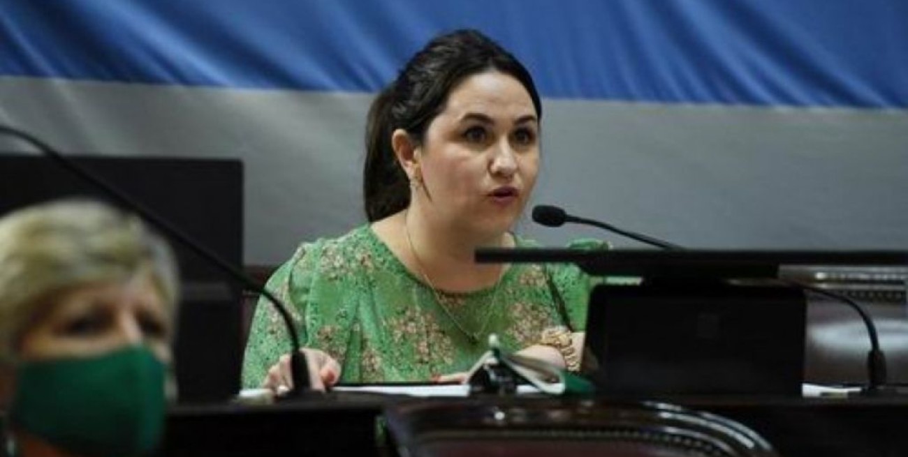 Así votaron y debatieron sobre el aborto los senadores de Corrientes