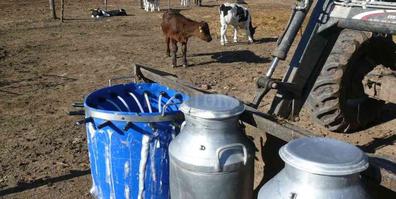 Tamberos argentinos son los que cobran menos en el mundo