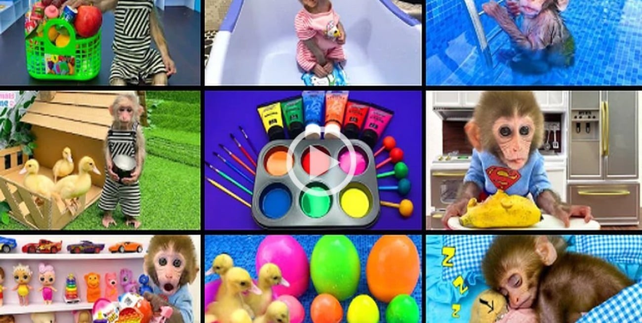 "Monkey baby Bon Bon", el nuevo furor de Youtube y TikTok