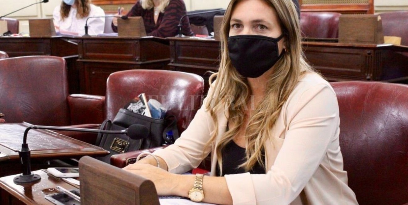 Di Stefano: "El Ministerio de Educación de Santa Fe crea desconcierto en la comunidad"