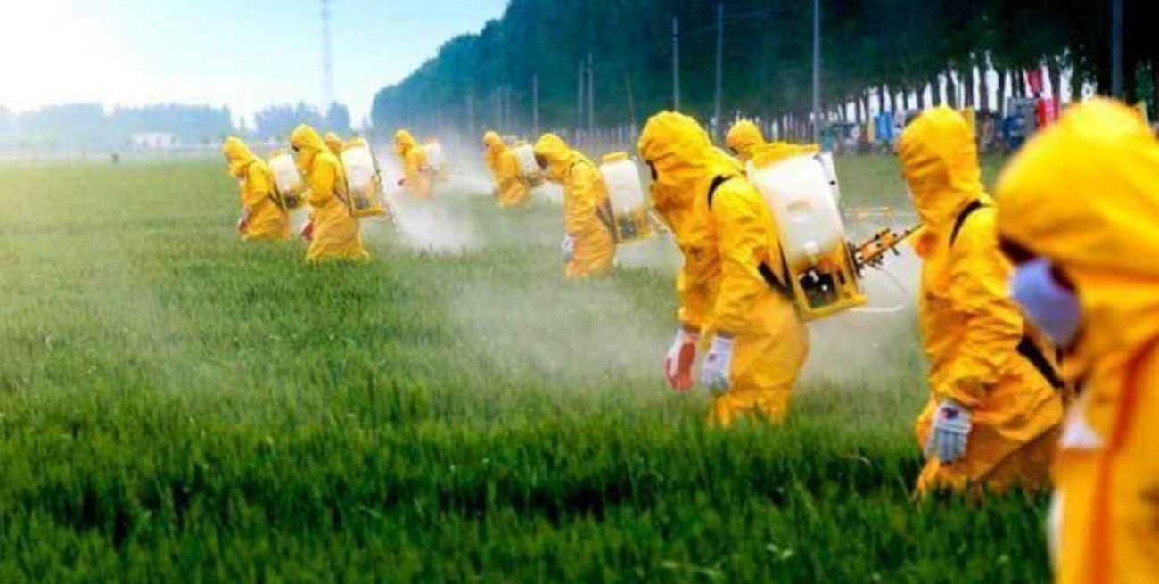 Europa vende a América Latina y África pesticidas que están prohibidos por la Unión Europea 