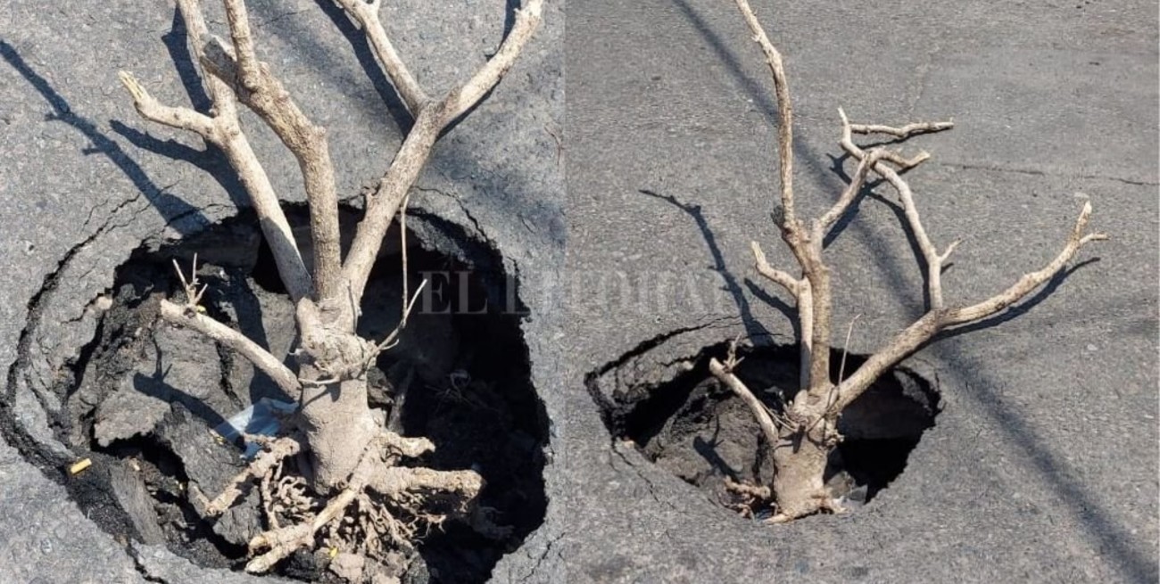 El misterio de un pozo que preocupa a vecinos de Barrio Sur