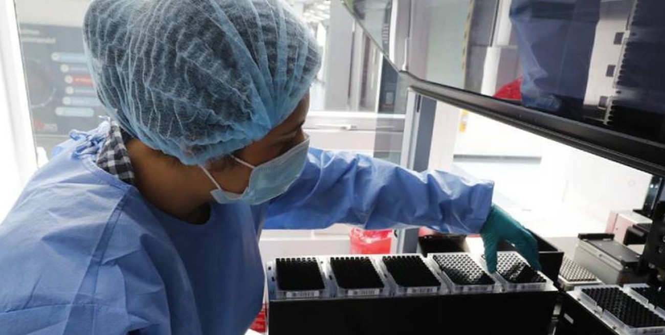 La Anmat autorizó el suero equino para el tratamiento de coronavirus