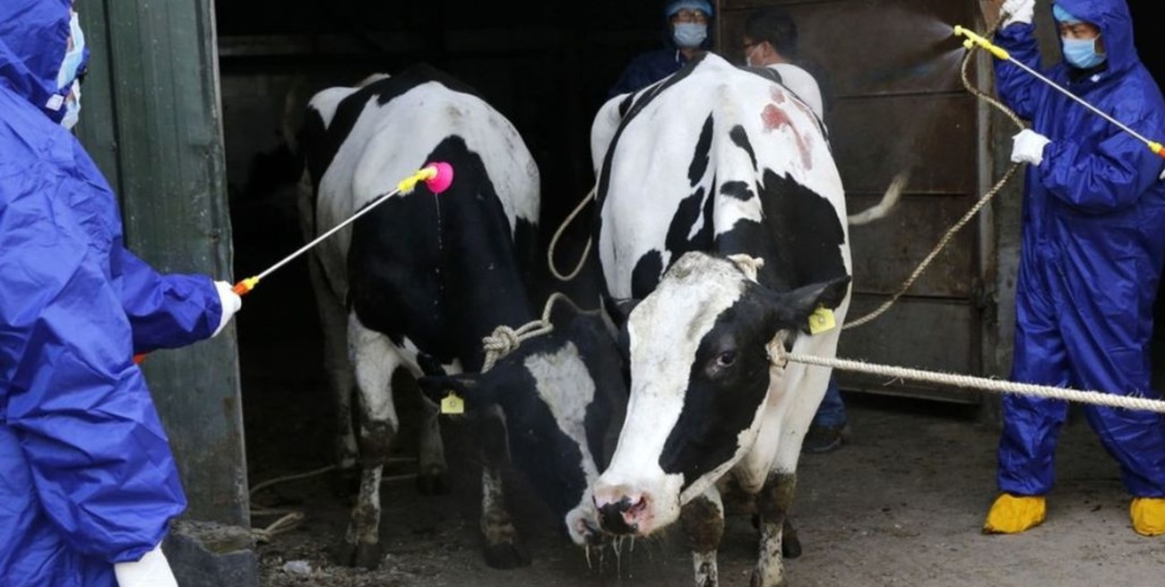 Más de 3.000 personas enfermas en China tras la fuga de una bacteria de un laboratorio