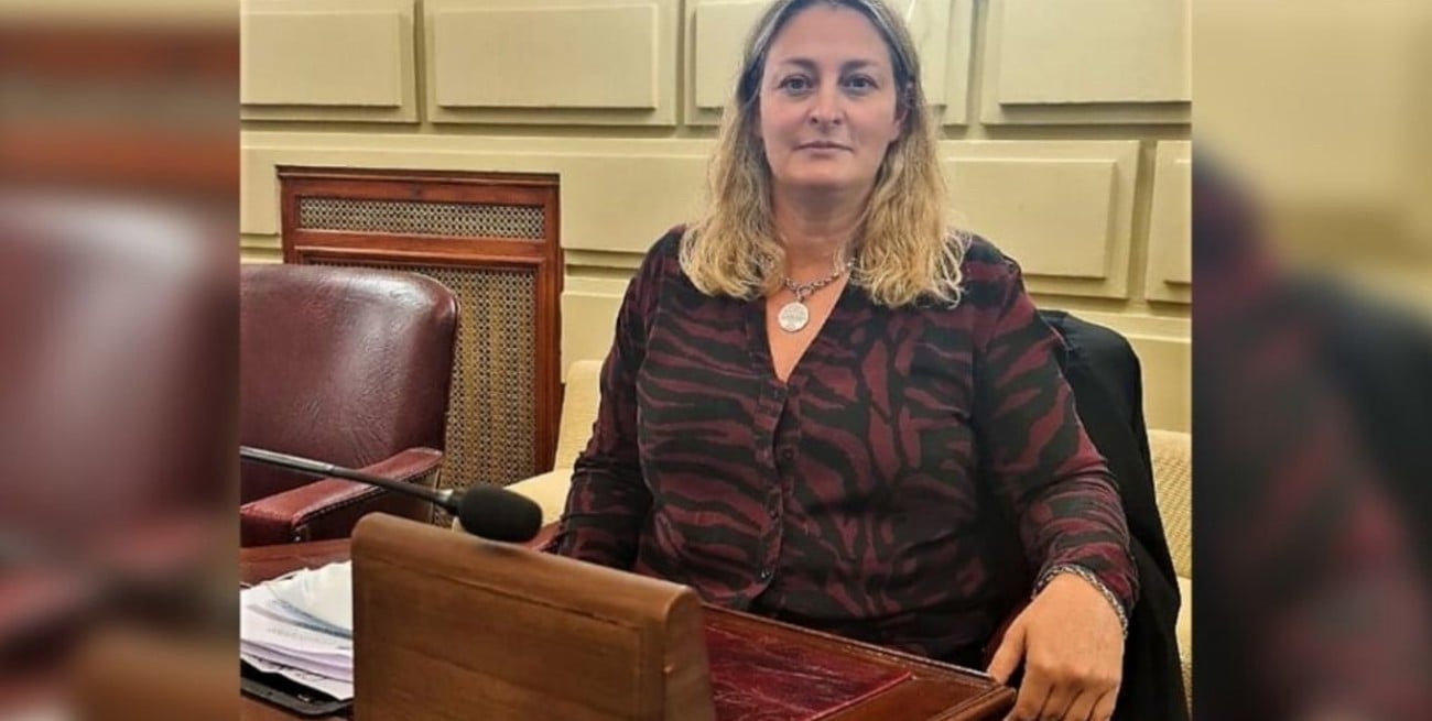 Diputada Silvia Ciancio, una de las más activas de la Cámara baja