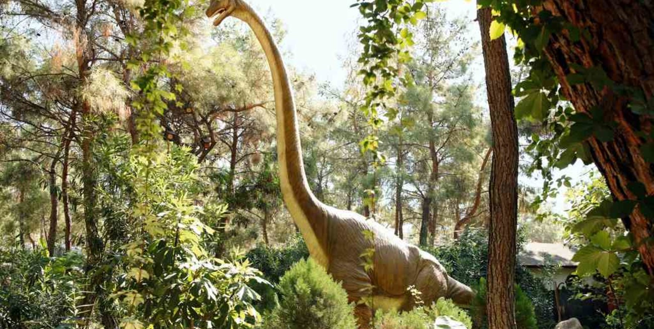 El Supersaurus podría convertirse en el dinosaurio más largo de la historia