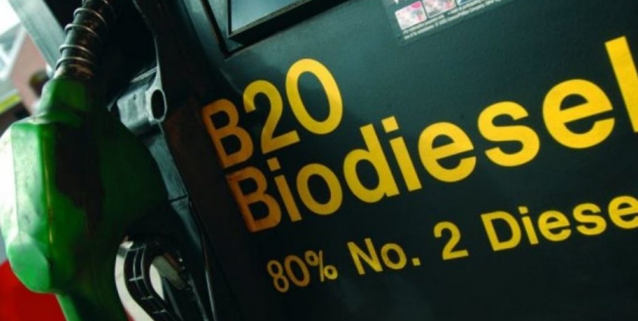 Actualizaron el precio del biodiesel y del bioetanol