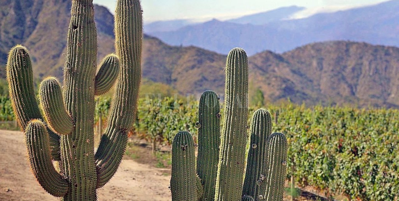 Las provincias esperan buenos números en el turismo