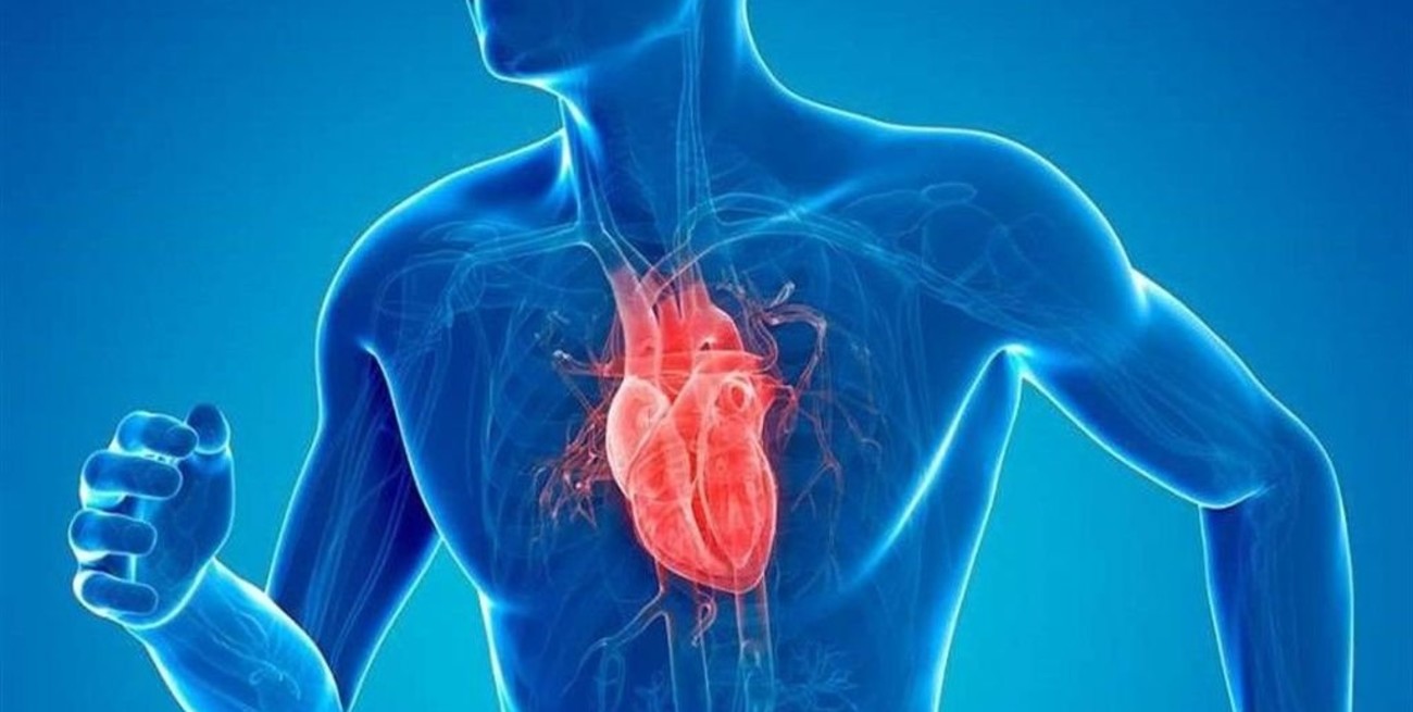 La OPS presentó una calculadora que estima el riesgo cardiovascular global