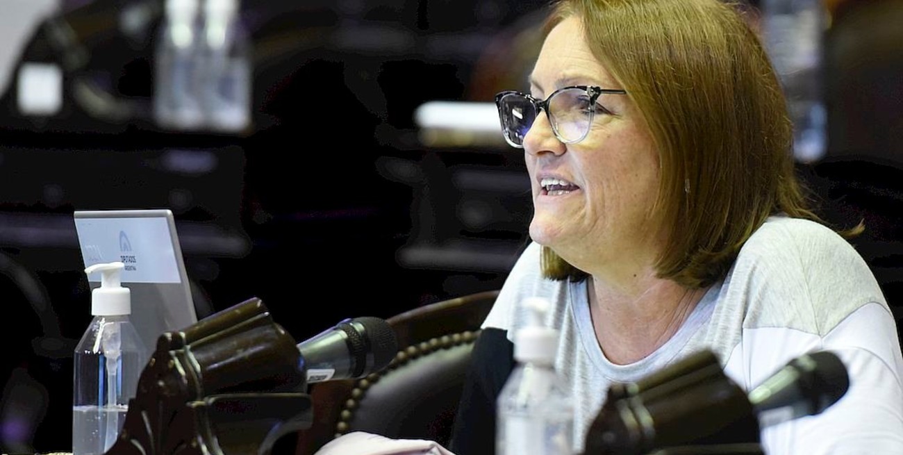 Patricia Mounier: "Necesitamos una ley para que los docentes de universidades privadas puedan acceder a la jubilación ordinaria" 