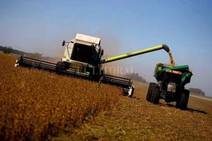 Archivo El Litoral D.R