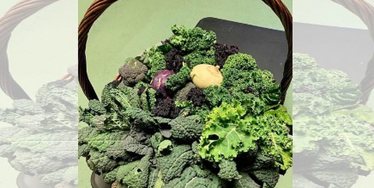 Jill Biden envió una canasta de verduras a Michelle Obama