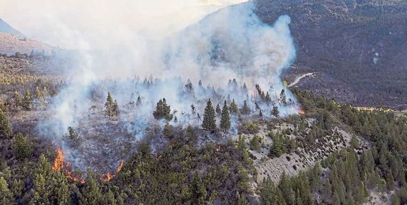 Allanaron la casa de El Bolsón donde se habría realizado el asado que provocó el incendio forestal
