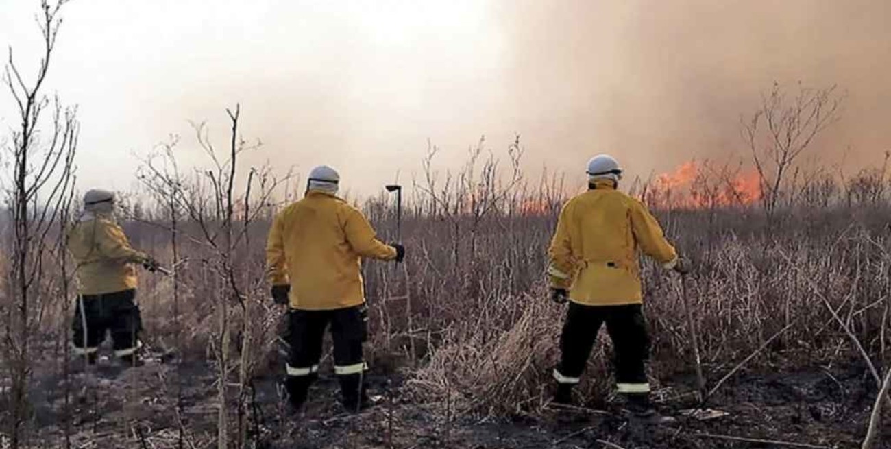 Entre Ríos registra un foco activo de incendio forestal