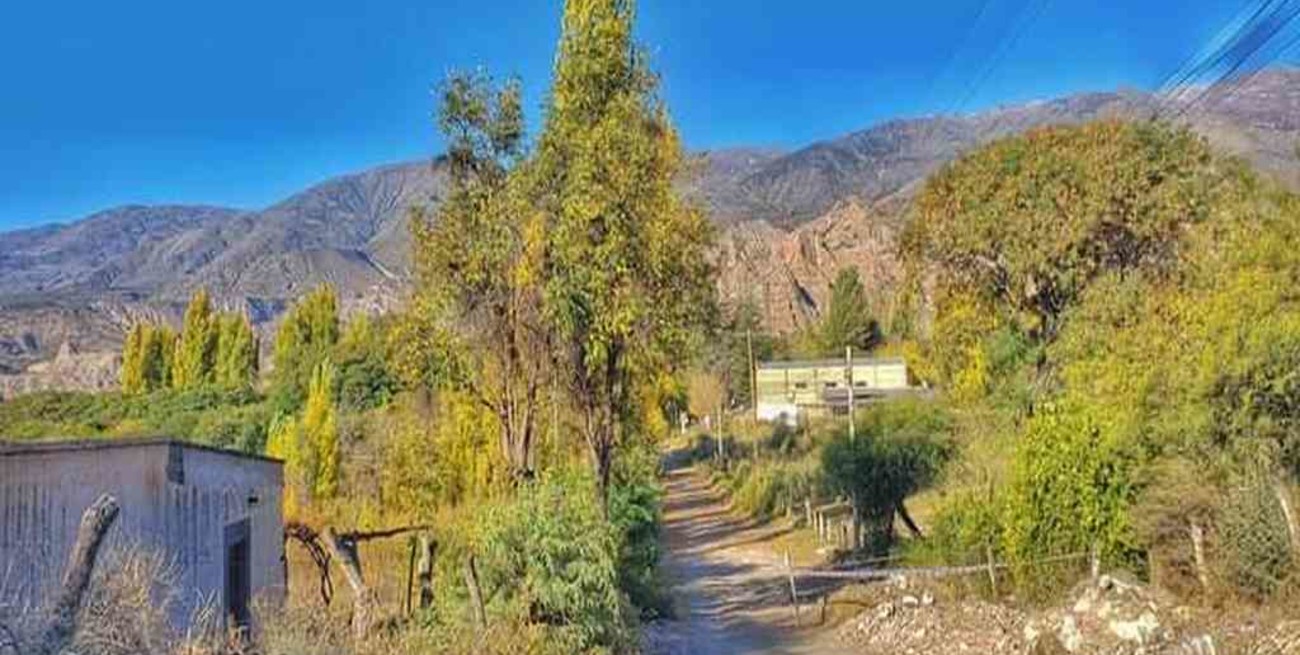 Catamarca: una mujer fue asesinada y el principal sospechoso apareció muerto