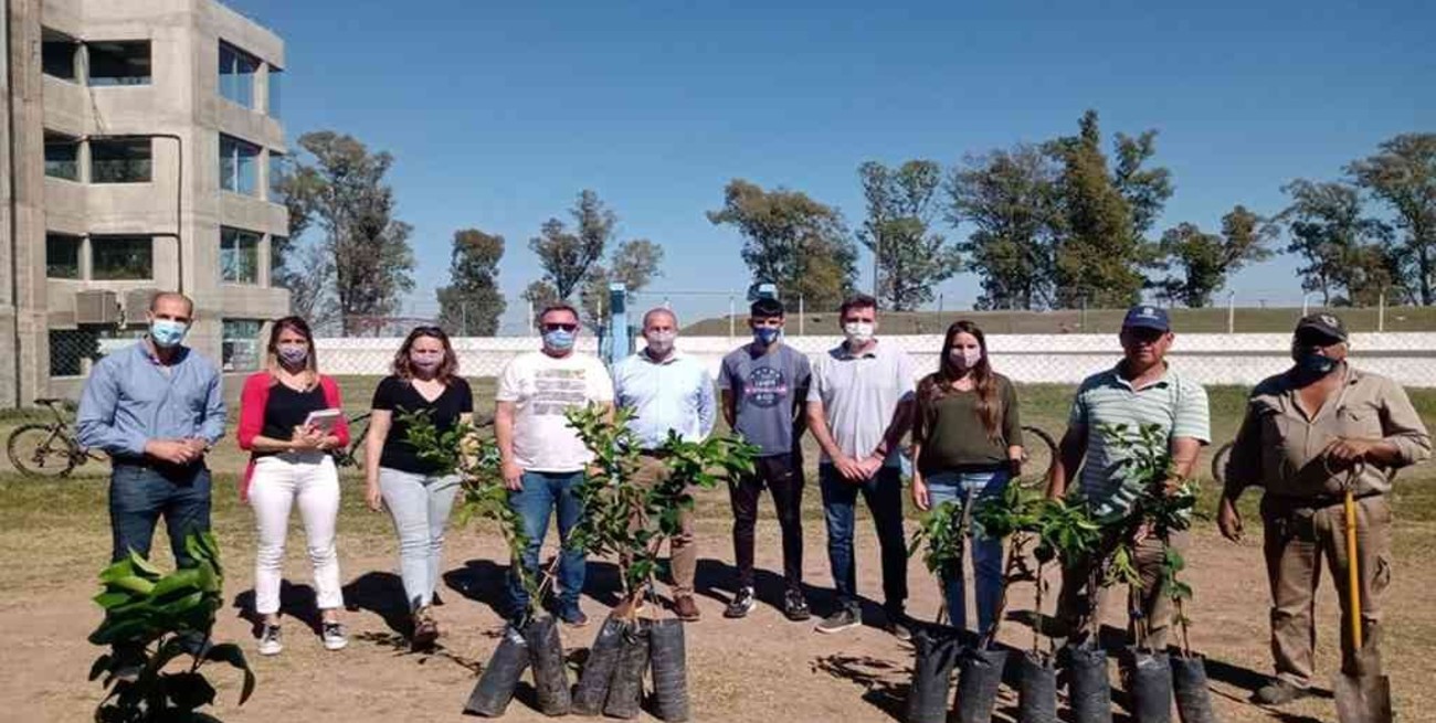 Rafaela piensa en verde: se plantaron 100 árboles en distintos clubes de la ciudad