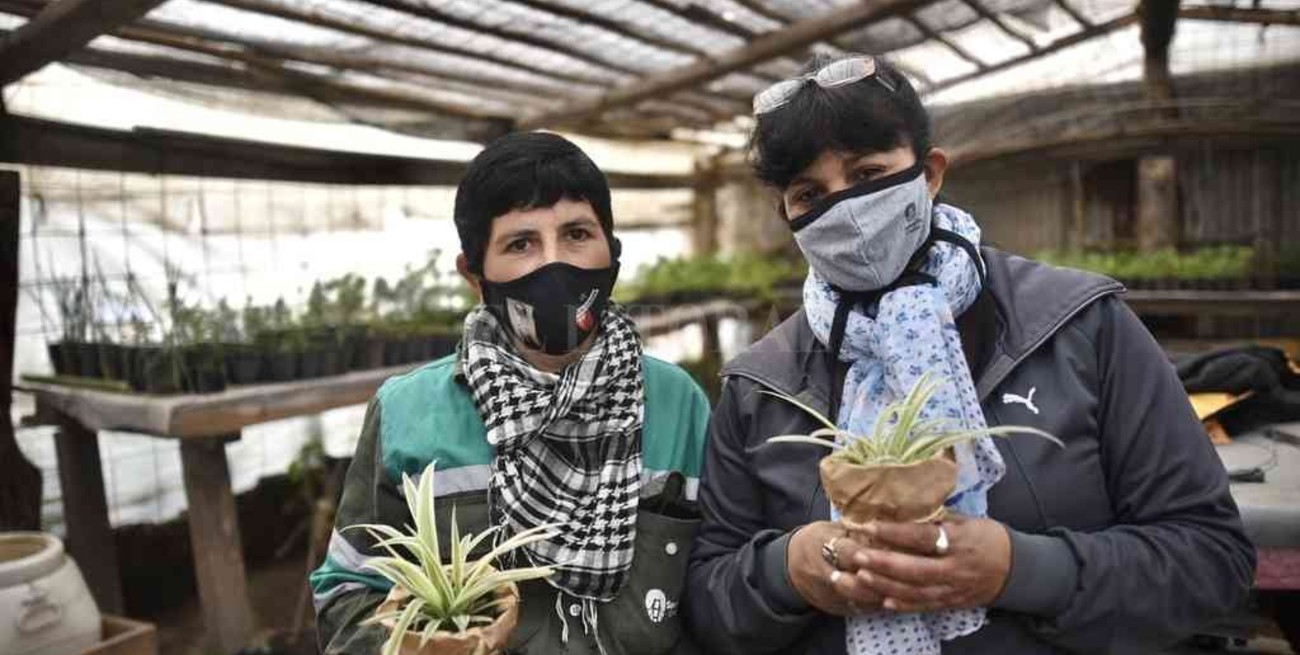 La ciudad ya tiene su primer Vivero Barrial