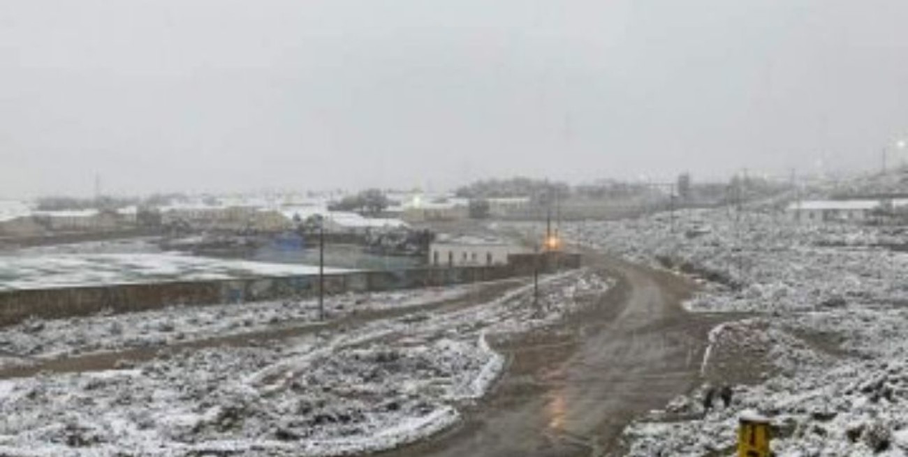 La puna de Jujuy se tiñó de blanco en pleno verano