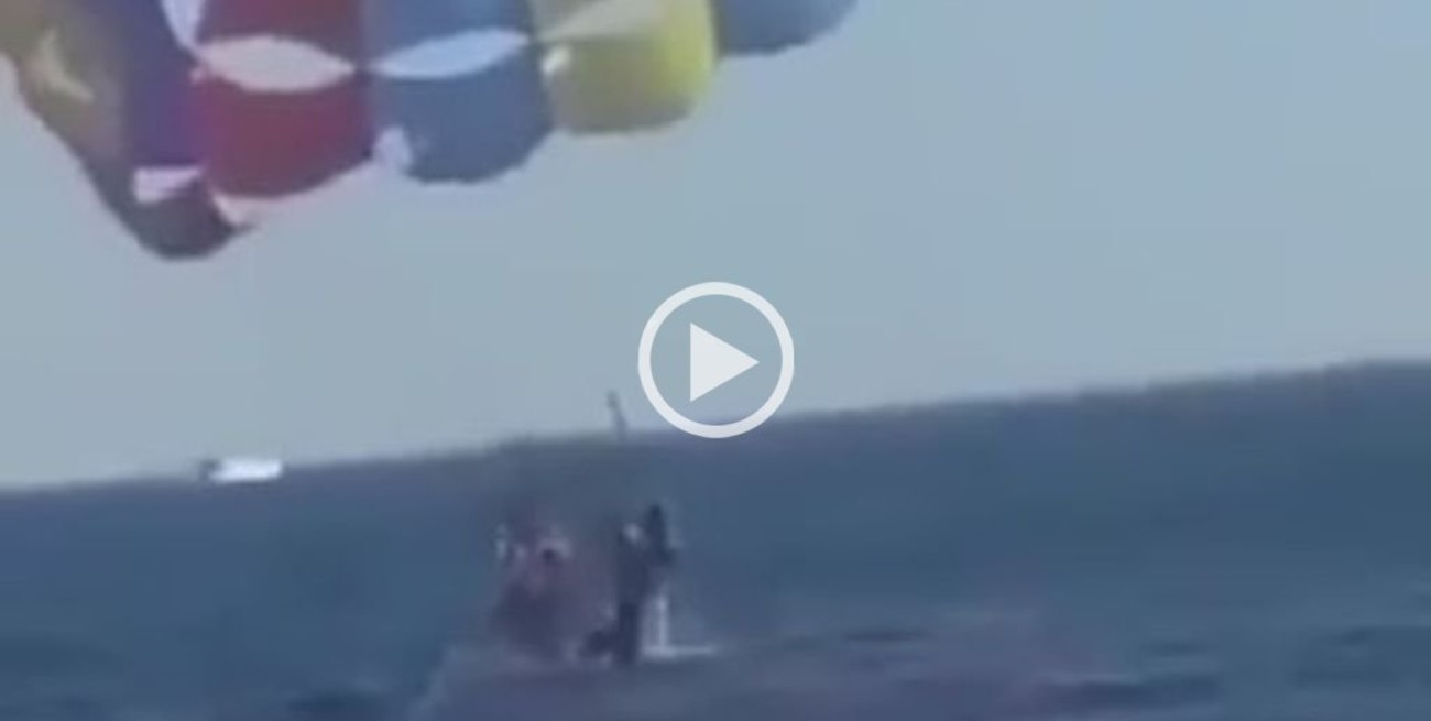 Video: tiburón saltó por los aires y mordió a un hombre que practicaba parasailing