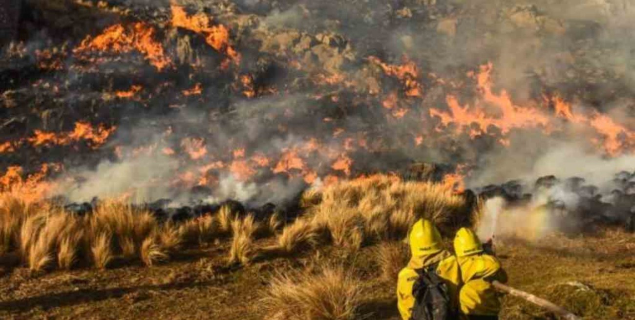 Promulgaron la ley que prohíbe la venta de terrenos incendiados
