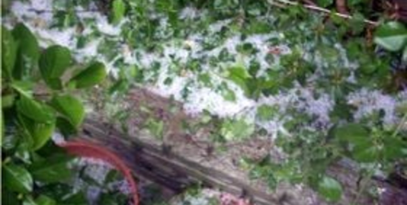 Granizó en barrio Guadalupe