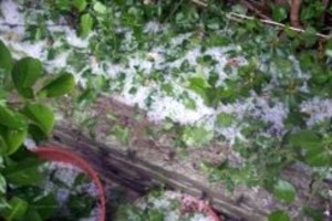 Granizó en barrio Guadalupe