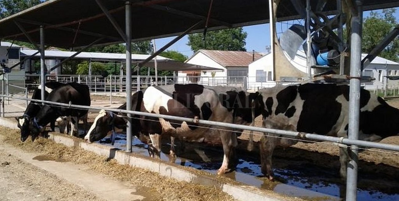 El director nacional de Lechería recorrió tambos de San Martín de las Escobas y Cañada Rosquín