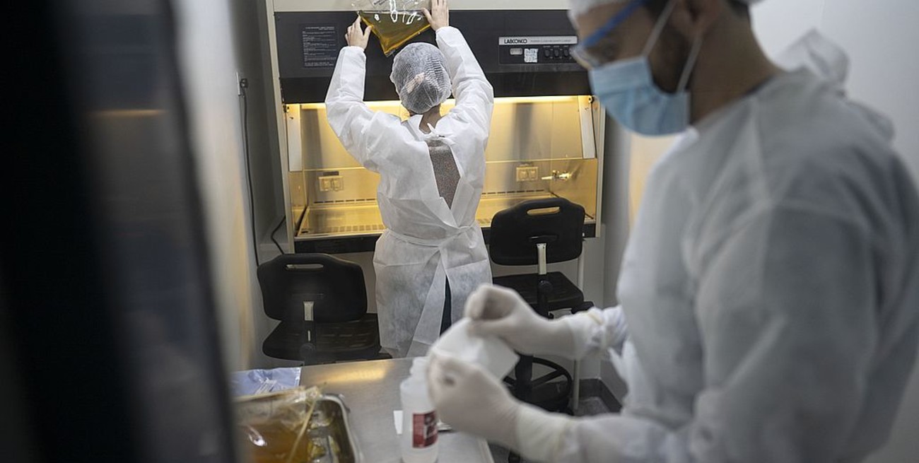 Coronavirus en Argentina: máximo diario de 470 muertes y 12.027 nuevos casos