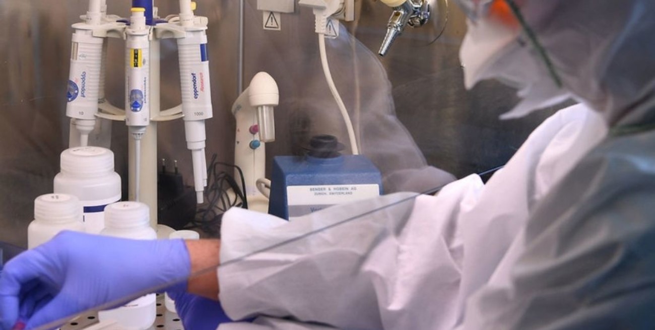 Leve descenso en la curva de contagios en el departamento San Martín