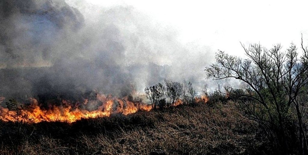 Entre Ríos y Mendoza registran focos activos de incendios forestales