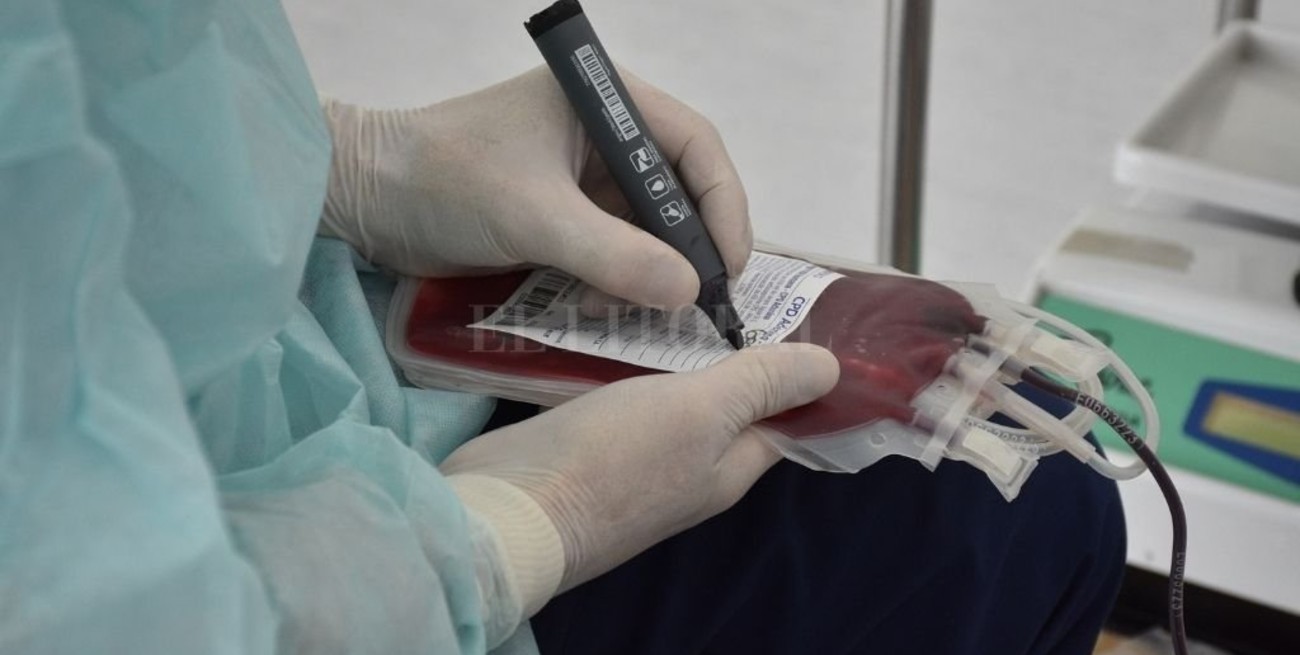 Realizan una campaña de donación de sangre en El Molino Fábrica Cultural