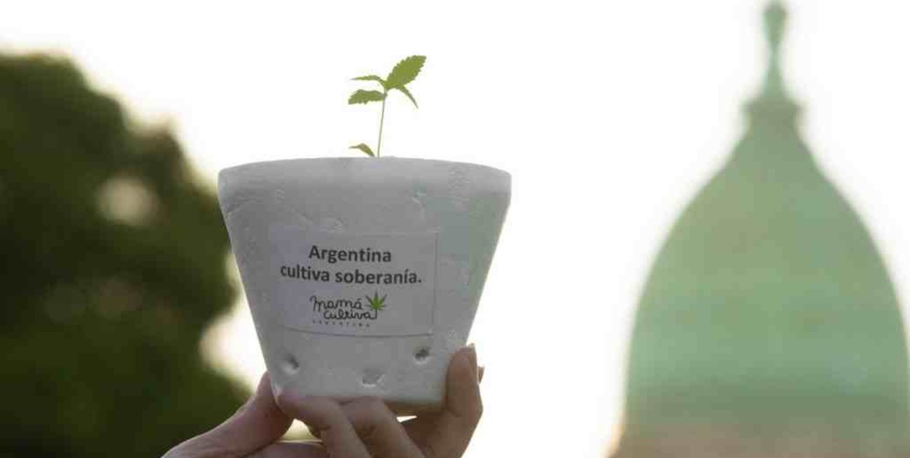 Mamá Cultiva celebró que se "haya escuchado el pedido de la sociedad"