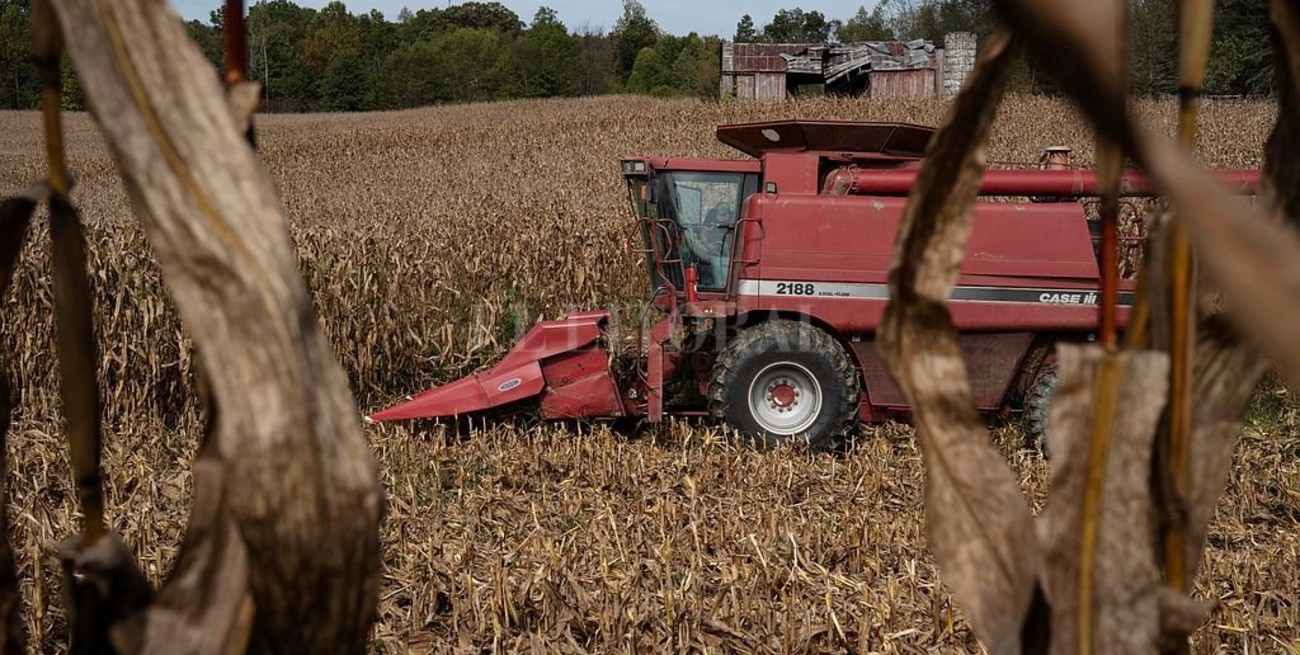Saldo dispar para los granos en Rosario