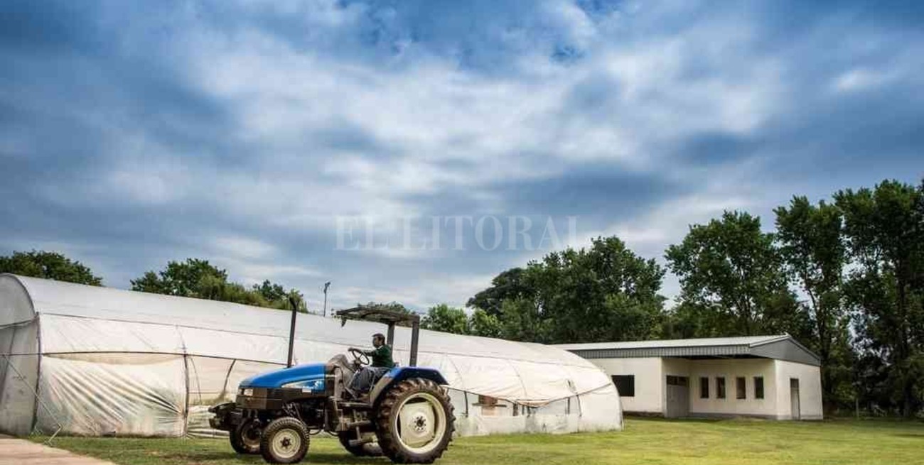 9 escuelas agrotécnicas santafesinas recibirán aportes del INET