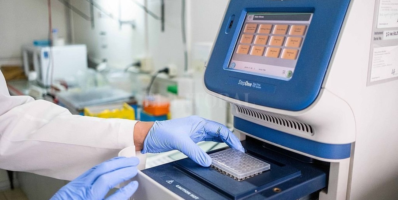 ¿Es adecuado seguir negando el uso de la Ivermectina? 