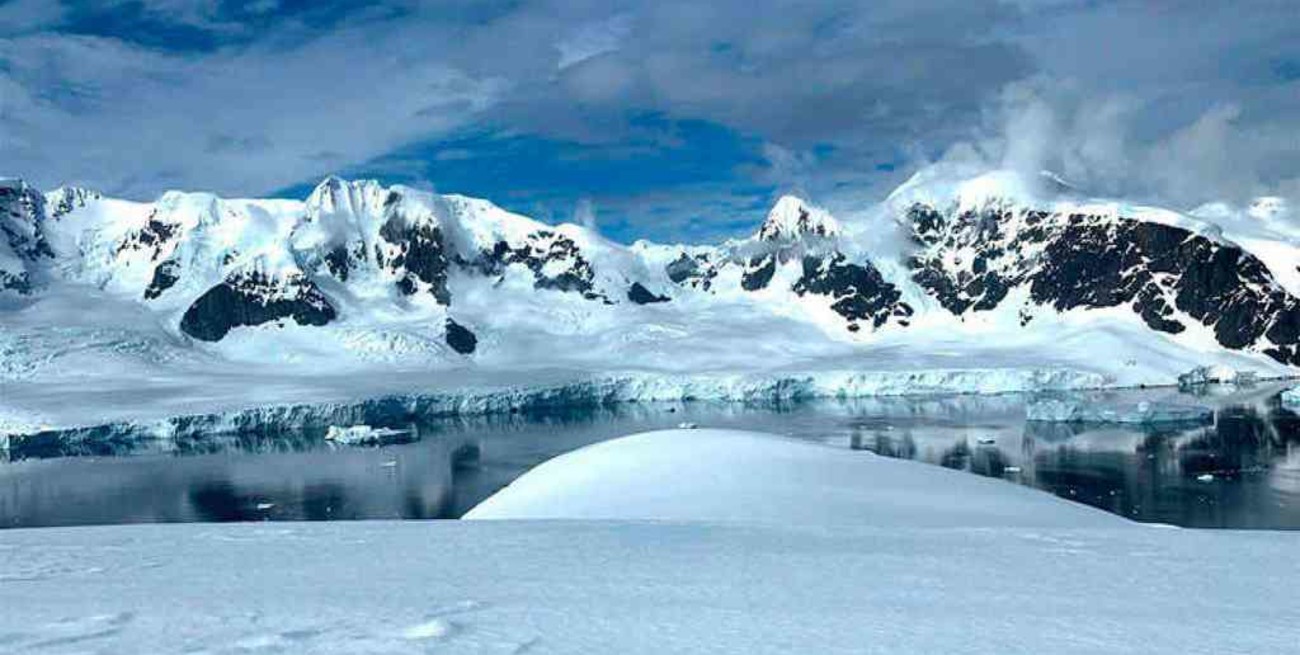 Hace 58 millones de años, la Antártida tenía grandes extensiones de bosque 