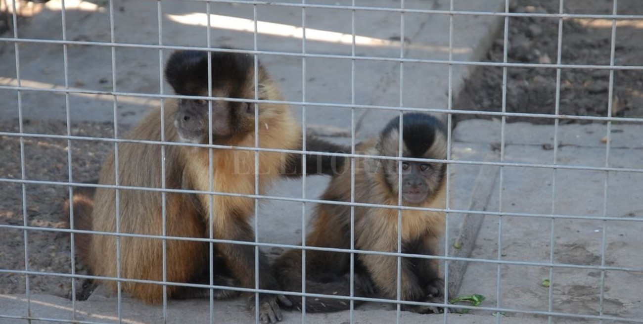 Solicitan presupuesto para recuperar y refuncionalizar la Granja La Esmeralda