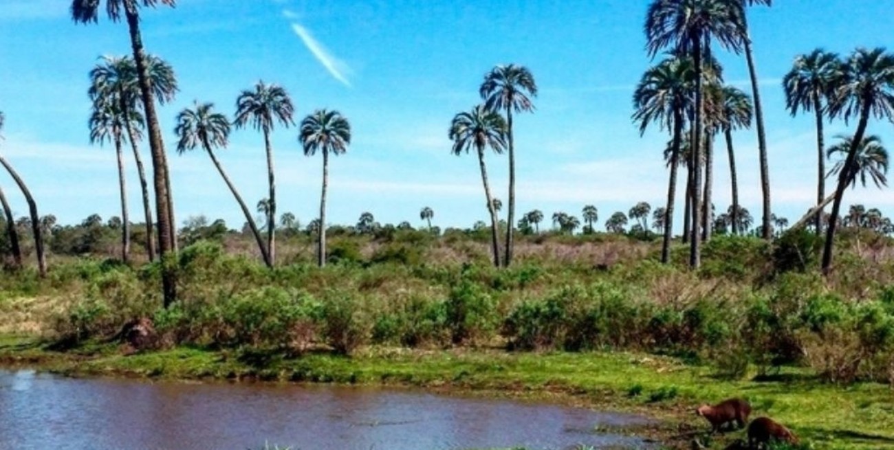 Las reservas turísticas en Entre Ríos superan el 70% para este verano