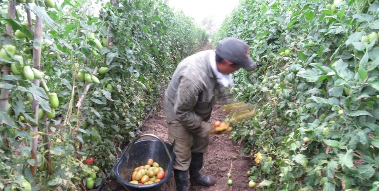 Aumento para los trabajadores rurales