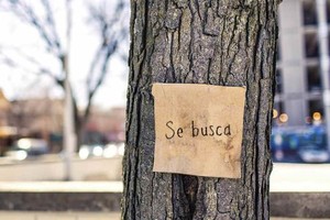 Archivo La coordinación de acciones entre distintos organismos es fundamental para hallar a una persona que falta de su hogar.