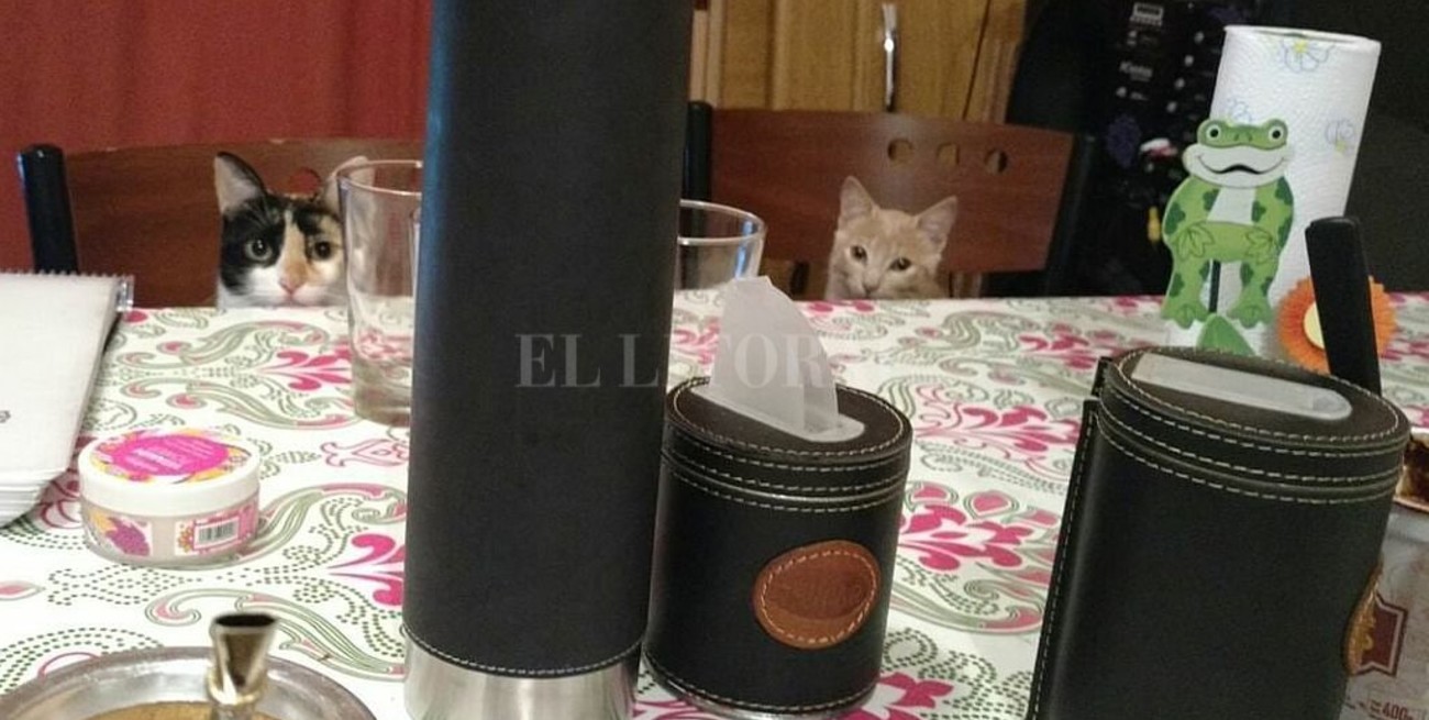 Línea directa: "defender la paz", "abandonados e ignorados" y otros mensajes