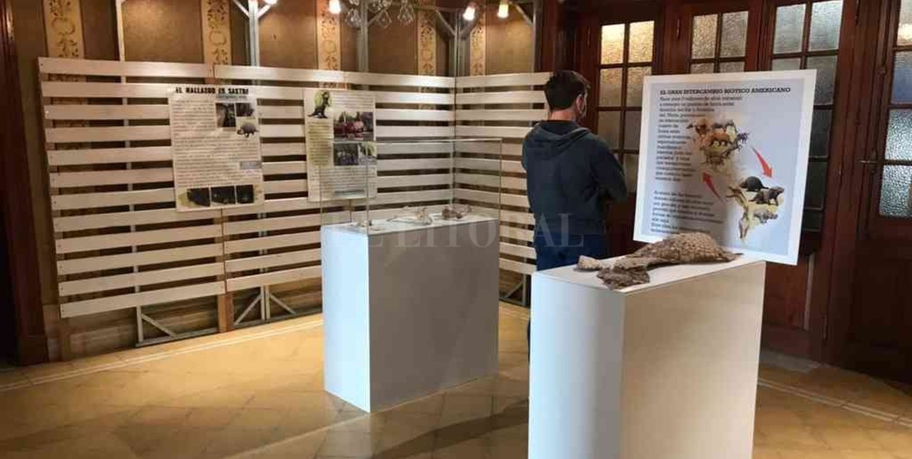 "Sastre, tierra de gliptodontes": inauguró la muestra que atrapa a toda una ciudad