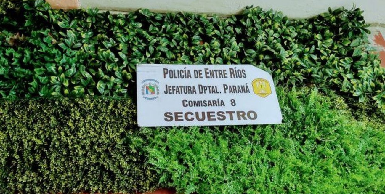 Insólito: se robaron las plantas ornamentales del ingreso a Paraná