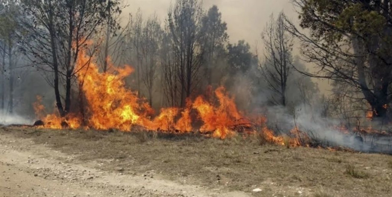 Con seis focos activos, Salta es la provincia más afectada por los incendios forestales