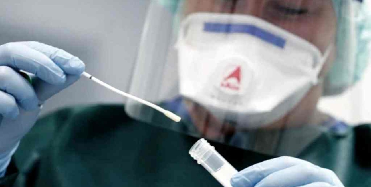 Un nuevo estudio determinó que los anticuerpos de coronavirus durarían cinco meses