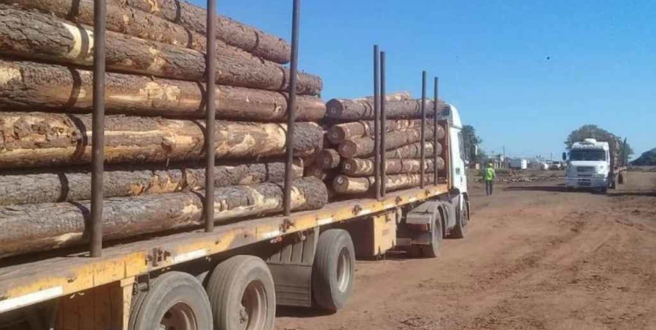 Secuestran seis toneladas de marihuana y detienen a un sospechoso en Corrientes