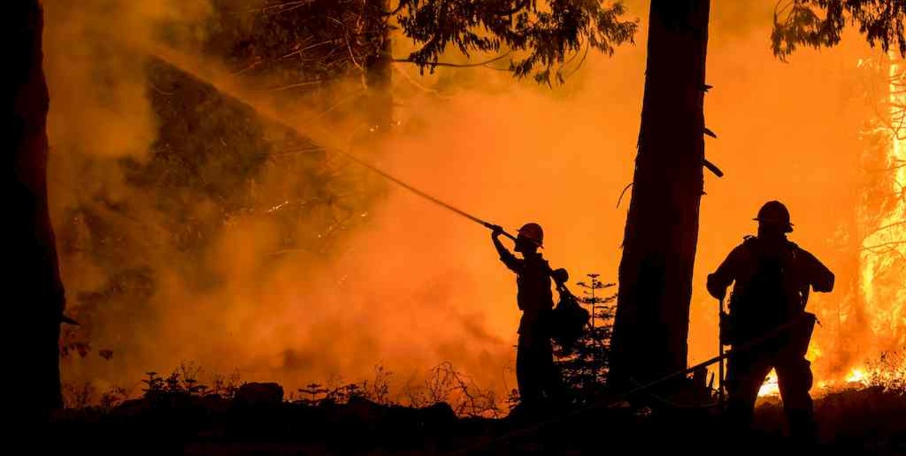 La ONU alertó de un aumento de la intensidad y frecuencia de los incendios
