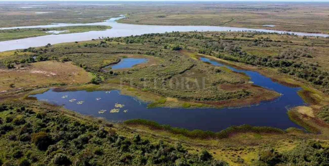 "La Rinconada": primera reserva natural de la costa santafesina